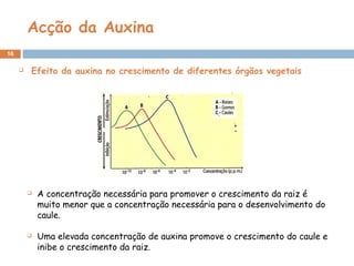 Acção da Auxina
16
  Efeito da auxina no crescimento de diferentes órgãos vegetais
 A concentração necessária para promover o crescimento da raiz é
muito menor que a concentração necessária para o desenvolvimento do
caule.
 Uma elevada concentração de auxina promove o crescimento do caule e
inibe o crescimento da raiz.
 