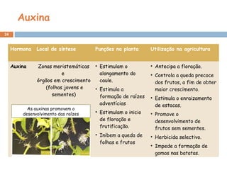 Auxina
24
Hormona Local de síntese Funções na planta Utilização na agricultura
Auxina Zonas meristemáticas
e
órgãos em crescimento
(folhas jovens e
sementes)
• Estimulam o
alongamento do
caule.
• Estimula a
formação de raízes
adventícias
• Estimulam o inicio
de floração e
frutificação.
• Inibem a queda de
folhas e frutos
• Antecipa a floração.
• Controla a queda precoce
dos frutos, a fim de obter
maior crescimento.
• Estimula o enraizamento
de estacas.
• Promove o
desenvolvimento de
frutos sem sementes.
• Herbicida selectivo.
• Impede a formação de
gomos nas batatas.
As auxinas promovem o
desenvolvimento das raízes
 