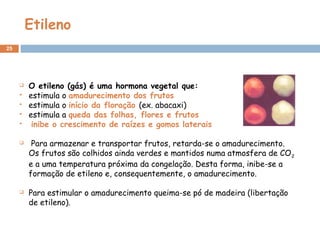 Etileno
25
 O etileno (gás) é uma hormona vegetal que:
 estimula o amadurecimento dos frutos
 estimula o início da floração (ex. abacaxi)
 estimula a queda das folhas, flores e frutos
 inibe o crescimento de raízes e gomos laterais
 
 Para armazenar e transportar frutos, retarda-se o amadurecimento.
Os frutos são colhidos ainda verdes e mantidos numa atmosfera de CO2
e a uma temperatura próxima da congelação. Desta forma, inibe-se a
formação de etileno e, consequentemente, o amadurecimento.
 Para estimular o amadurecimento queima-se pó de madeira (libertação
de etileno).
 