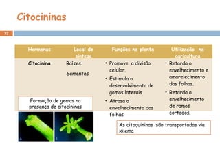 Citocininas
32
Hormonas Local de
síntese
Funções na planta Utilização na
agricultura
Citocinina Raízes.
Sementes
• Promove a divisão
celular.
• Estimula o
desenvolvimento de
gomos laterais
• Atrasa o
envelhecimento das
folhas
• Retarda o
envelhecimento e
amarelecimento
das folhas.
• Retarda o
envelhecimento
de ramos
cortados.
As citoquininas são transportadas via
xilema
Formação de gemas na
presença de citocininas
 