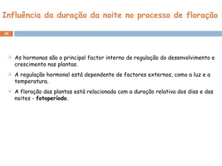 Influência da duração da noite no processo de floração
34
 As hormonas são o principal factor interno de regulação do desenvolvimento e
crescimento nas plantas.
 A regulação hormonal está dependente de factores externos, como a luz e a
temperatura.
 A floração das plantas está relacionada com a duração relativa dos dias e das
noites - fotoperíodo.
 