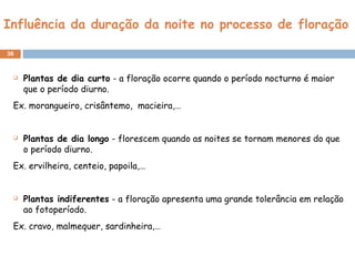 Influência da duração da noite no processo de floração
36
 Plantas de dia curto - a floração ocorre quando o período nocturno é maior
que o período diurno.
Ex. morangueiro, crisântemo, macieira,…
 Plantas de dia longo - florescem quando as noites se tornam menores do que
o período diurno.
Ex. ervilheira, centeio, papoila,…
 Plantas indiferentes - a floração apresenta uma grande tolerância em relação
ao fotoperíodo.
Ex. cravo, malmequer, sardinheira,…
 