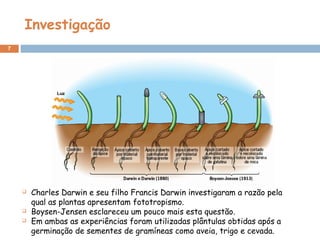 Investigação
7
 Charles Darwin e seu filho Francis Darwin investigaram a razão pela
qual as plantas apresentam fototropismo.
 Boysen-Jensen esclareceu um pouco mais esta questão.
 Em ambas as experiências foram utilizadas plântulas obtidas após a
germinação de sementes de gramíneas como aveia, trigo e cevada.
 