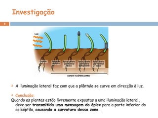 Investigação
9
 A iluminação lateral faz com que a plântula se curve em direcção à luz.
 Conclusão:
Quando as plantas estão livremente expostas a uma iluminação lateral,
deve ser transmitida uma mensagem do ápice para a parte inferior do
coleóptilo, causando a curvatura dessa zona.
 