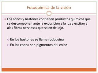 Fotoquímica de la visiónLos conos y bastones contienen productos químicos que se descomponen ante la exposición a la luz y excitan a alas fibras nerviosas que salen del ojo.En los bastones se llama rodopsinaEn los conos son pigmentos del color