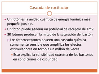 Downloaded from: StudentConsult (on 13 March 2011 08:28 PM)© 2005 Elsevier 