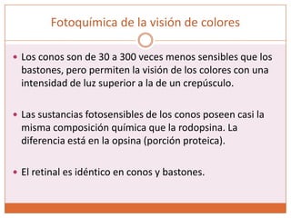 ConosHay tres tipos de pigmentos según su sensibilidadSensibles al azúl (445nm)Sensible al verde (535nm)Sensible al rojo (570nm)