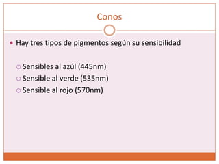 Downloaded from: StudentConsult (on 13 March 2011 08:28 PM)© 2005 Elsevier 