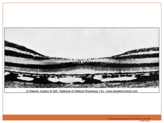 Downloaded from: StudentConsult (on 13 March 2011 08:28 PM)© 2005 Elsevier 
