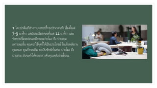 1.โดยปกติแล้วร่างกายจะกะปรี้กะเปร่าเวลาเช้า เริ่มตั้งแต่
7-9 นาฬิกา แต่มันจะเริ่มลดลงตั้งแต่ 11 นาฬิกา และ
ร่างกายเริ่มจะอ่อนเพลียตอนบ่ายโมง ถึง บ่ายสาม
เพราะฉะนั้น คุณควรใช้จุดนี้ให้เป็นประโยชน์ ในเมื่อพลังงาน
คุณหมด คุณก็ควรเติม ลองงีบซักพักในช่วง บ่ายโมง ถึง
บ่ายสาม มันจะทาให้ตอนกลางคืนคุณหลับง่ายขึ้นนะ
 