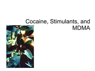 Cocaine, Stimulants, and MDMA 