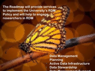 The Roadmap will provide services
to implement the University’s RDM
Policy and will help to engage
researchers in RDM
• Data Management
Planning
• Active Data Infrastructure
• Data Stewardship
 