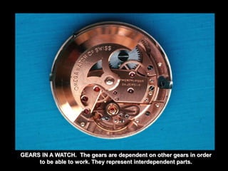 GEARS IN A WATCH. The gears are dependent on other gears in order 
to be able to work. They represent interdependent parts. 
 