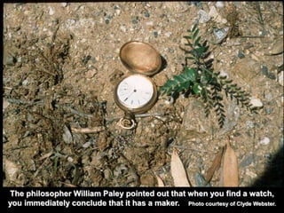 The philosopher William Paley pointed out that when you find a watch, 
you immediately conclude that it has a maker. Photo courtesy of Clyde Webster. 
 