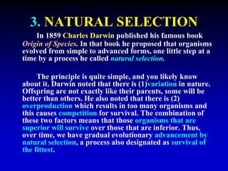 3. NATURAL SELECTION 
In 1859 Charles Darwin published his famous book 
Origin of Species. In that book he proposed that organisms 
evolved from simple to advanced forms, one little step at a 
time by a process he called natural selection. 
The principle is quite simple, and you likely know 
about it. Darwin noted that there is (1)variation in nature. 
Offspring are not exactly like their parents, some will be 
better than others. He also noted that there is (2) 
overproduction which results in too many organisms and 
this causes competition for survival. The combination of 
these two factors means that those organisms that are 
superior will survive over those that are inferior. Thus, 
over time, we have gradual evolutionary advancement by 
natural selection, a process also designated as survival of 
the fittest. 
 