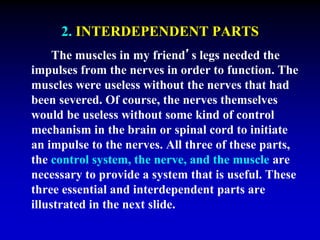 2. INTERDEPENDENT PARTS 
The muscles in my friend’s legs needed the 
impulses from the nerves in order to function. The 
muscles were useless without the nerves that had 
been severed. Of course, the nerves themselves 
would be useless without some kind of control 
mechanism in the brain or spinal cord to initiate 
an impulse to the nerves. All three of these parts, 
the control system, the nerve, and the muscle are 
necessary to provide a system that is useful. These 
three essential and interdependent parts are 
illustrated in the next slide. 
 