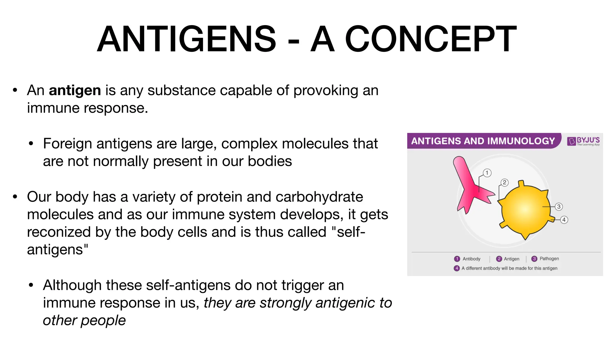 ANTIGENS - A CONCEPT
• An antigen is any substance capable of provoking an
immune response.
• Foreign antigens are large, complex molecules that
are not normally present in our bodies
• Our body has a variety of protein and carbohydrate
molecules and as our immune system develops, it gets
reconized by the body cells and is thus called "self-
antigens"
• Although these self-antigens do not trigger an
immune response in us, they are strongly antigenic to
other people
 