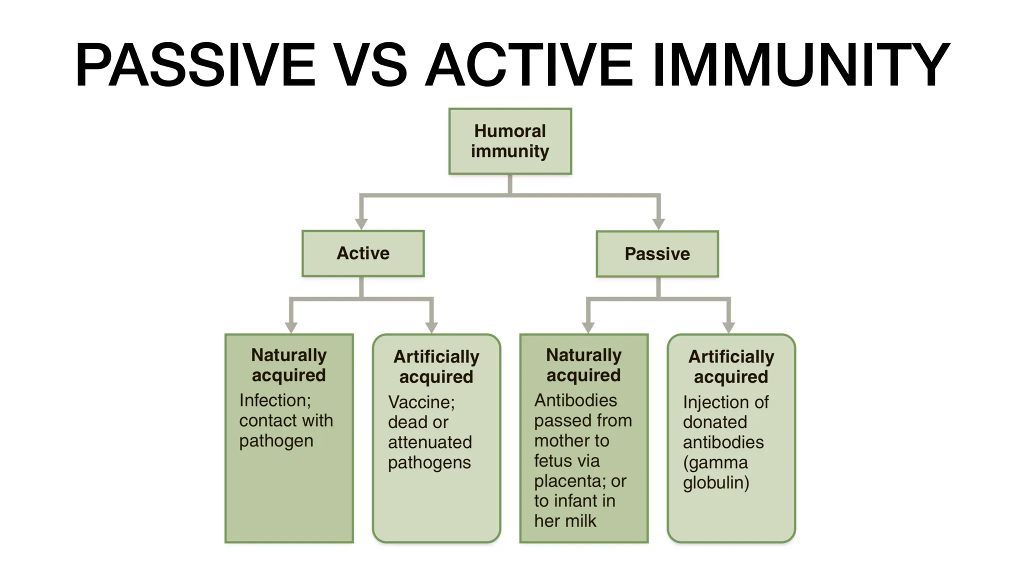 PASSIVE VS ACTIVE IMMUNITY
 