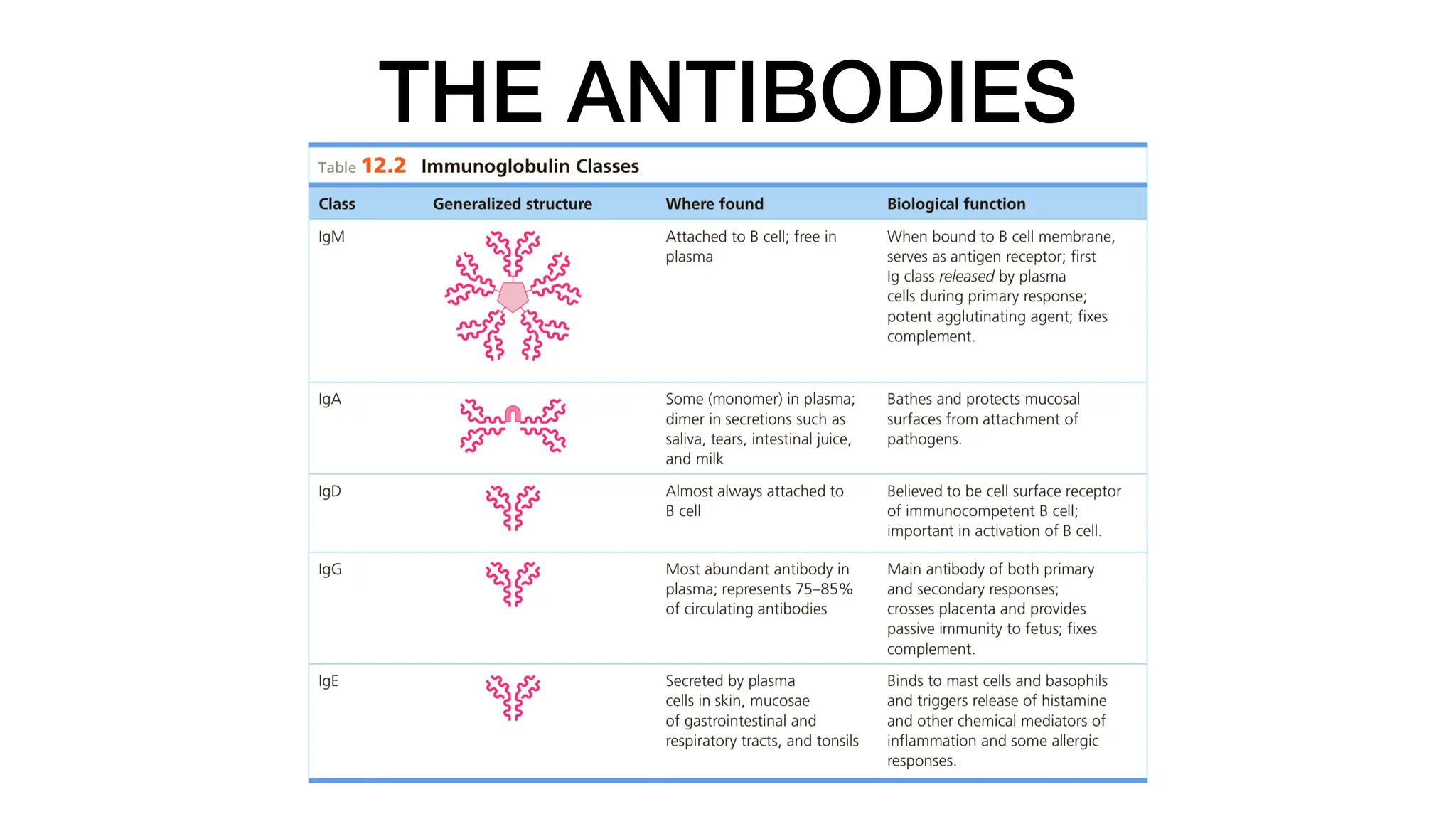 THE ANTIBODIES
 