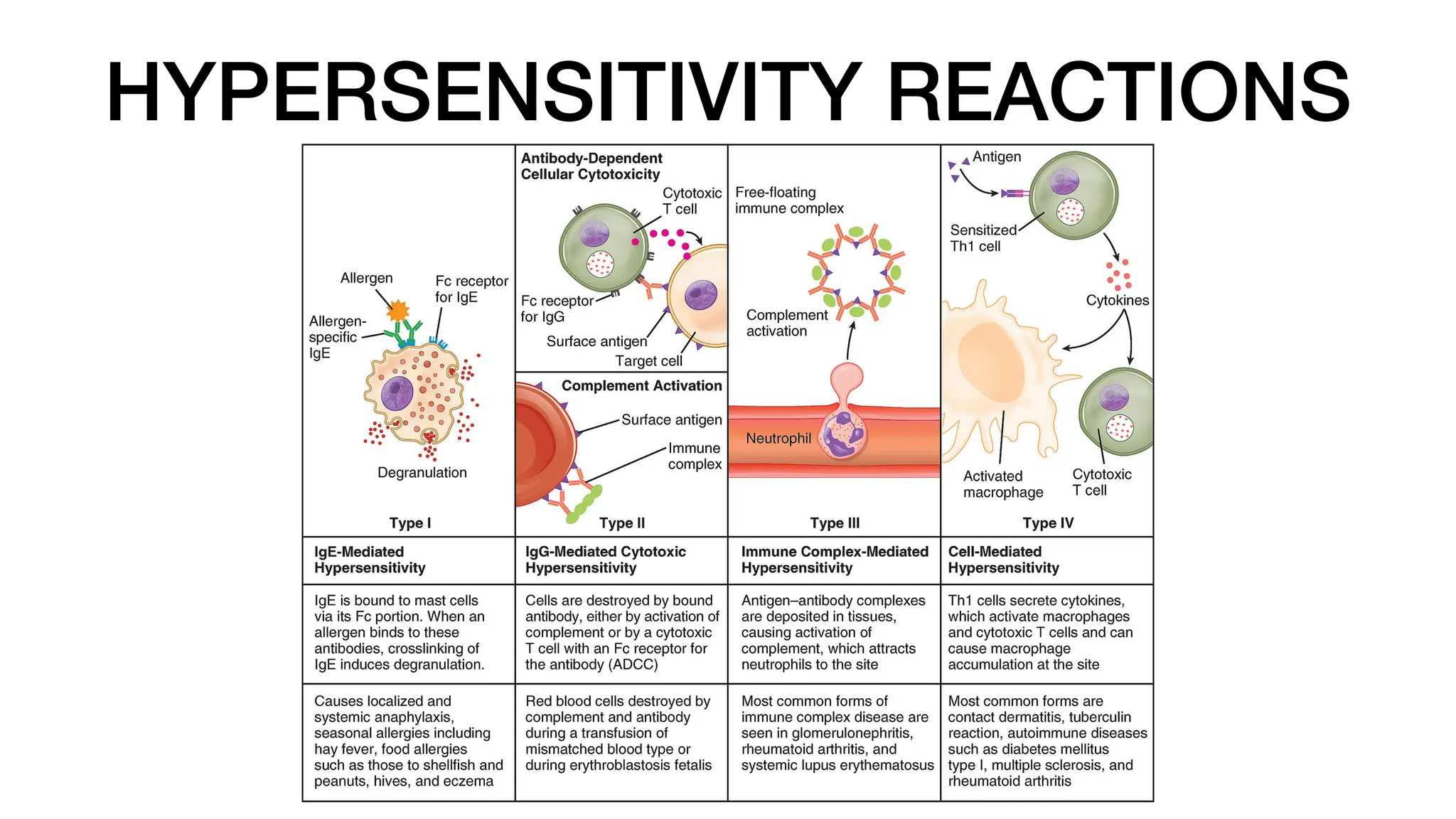 HYPERSENSITIVITY REACTIONS
 