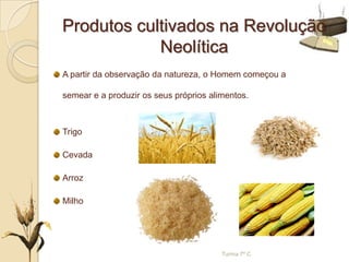 A partir da observação da natureza, o Homem começou a
semear e a produzir os seus próprios alimentos.
Trigo
Cevada
Arroz
Milho
Produtos cultivados na Revolução
Neolítica
Turma 7º C
 