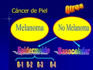 OtrosMelanomaNo MelanomaEpidermoideBasocelularCáncer de PielG-1G-2G-4G-3