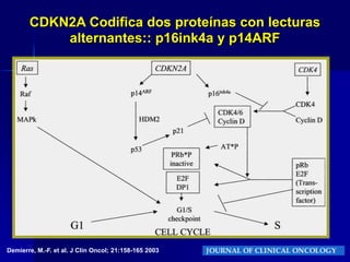  PI3K: Quinasa 3 fosfatidil-inositolEFECTO CARCINOGENÉTICO INDUCIDO POR  UVdaño celular directo: hiperpigmentaciónFallos en la reparación del ADNDepresión inmunológicaDemierre, M.-F. et al. J Clin Oncol; 21:158-165 2003