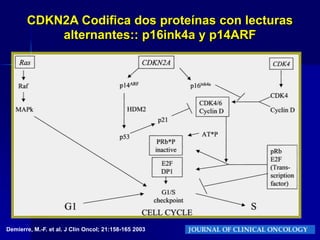  PI3K: Quinasa 3 fosfatidil-inositol</li></li></ul><li>EFECTO CARCINOGENÉTICO INDUCIDO POR  UV<br />daño celular directo: ...