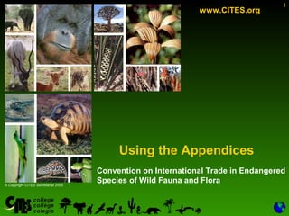 Convention on International Trade in Endangered
Species of Wild Fauna and Flora
Using the Appendices
1
www.CITES.org
© Copyright CITES Secretariat 2005
 
