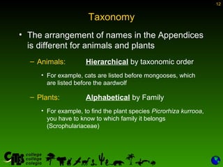 Using Appendices | PPT