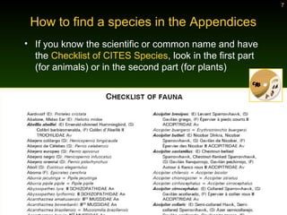 Using Appendices | PPT