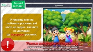 1 клас. НУШ. Я досліджую світ. Грущинська. Урок 140