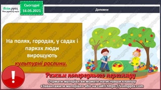 1 клас. НУШ. Я досліджую світ. Грущинська. Урок 140