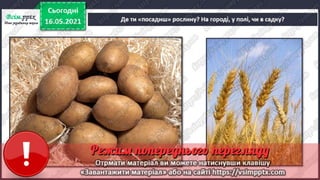 1 клас. НУШ. Я досліджую світ. Грущинська. Урок 140