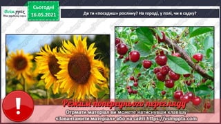 1 клас. НУШ. Я досліджую світ. Грущинська. Урок 140