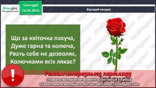 1 клас. НУШ. Я досліджую світ. Грущинська. Урок 140