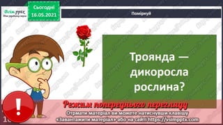 1 клас. НУШ. Я досліджую світ. Грущинська. Урок 140