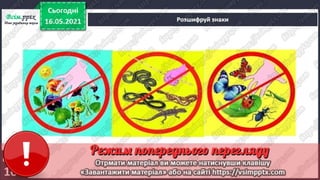 1 клас. НУШ. Я досліджую світ. Грущинська. Урок 140