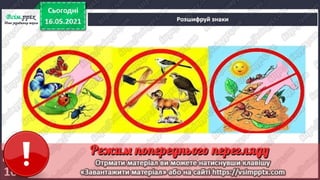 1 клас. НУШ. Я досліджую світ. Грущинська. Урок 140