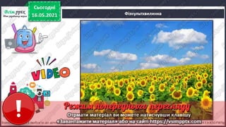 1 клас. НУШ. Я досліджую світ. Грущинська. Урок 140