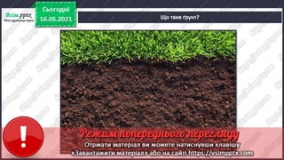 1 клас. НУШ. Я досліджую світ. Грущинська. Урок 140