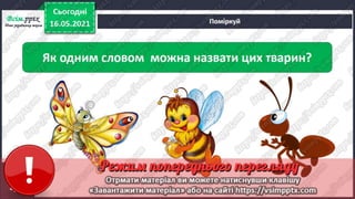 1 клас. НУШ. Я досліджую світ. Грущинська. Урок 140