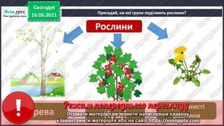 1 клас. НУШ. Я досліджую світ. Грущинська. Урок 140