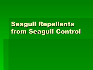 Seagull Repellents from Seagull Control 