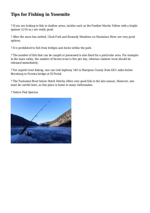Tips For Fishing In Yosemite
