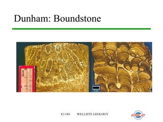 140029919-Wellsite-Geology.pptCuttings are rock fragments broken from ...
