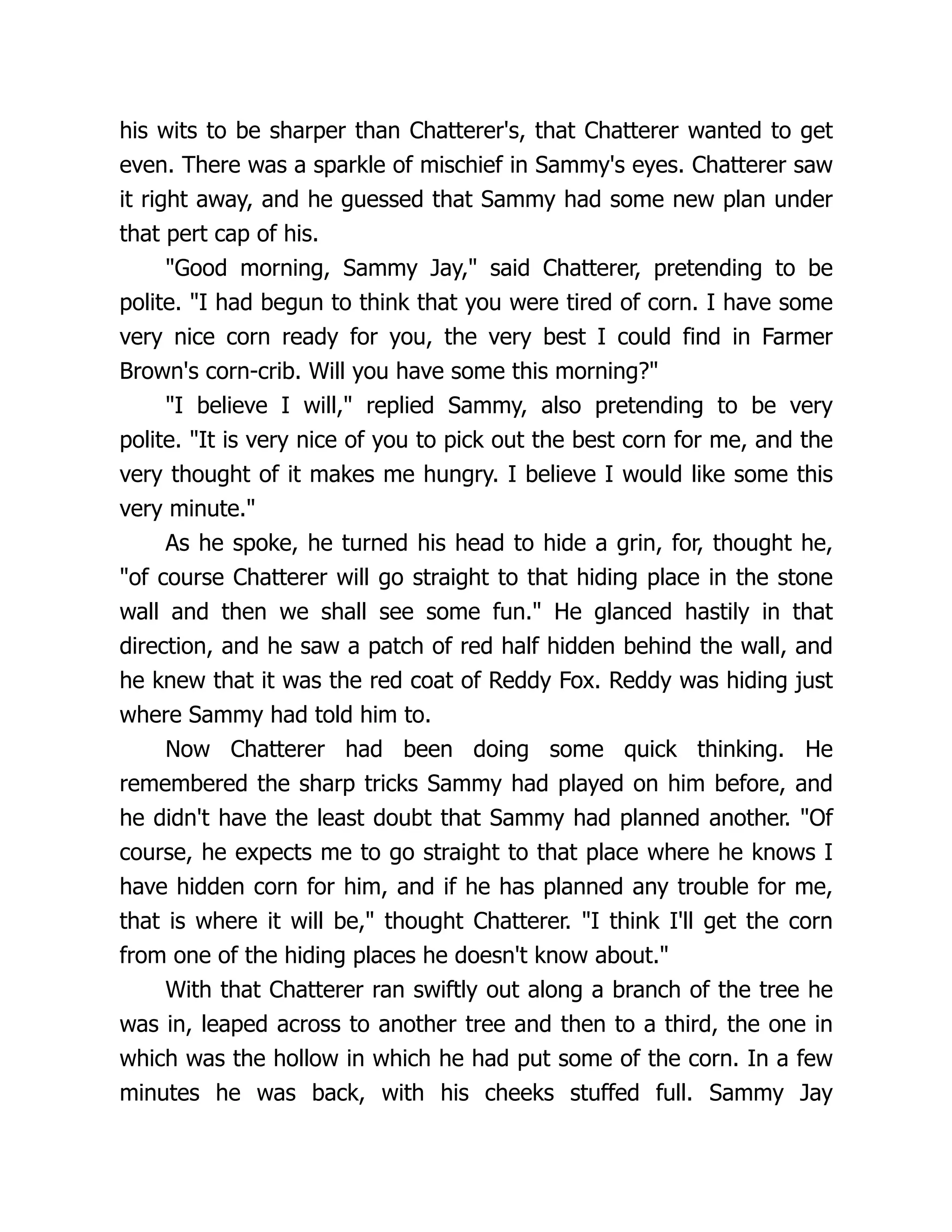 his wits to be sharper than Chatterer's, that Chatterer wanted to get
even. There was a sparkle of mischief in Sammy's eyes. Chatterer saw
it right away, and he guessed that Sammy had some new plan under
that pert cap of his.
"Good morning, Sammy Jay," said Chatterer, pretending to be
polite. "I had begun to think that you were tired of corn. I have some
very nice corn ready for you, the very best I could find in Farmer
Brown's corn-crib. Will you have some this morning?"
"I believe I will," replied Sammy, also pretending to be very
polite. "It is very nice of you to pick out the best corn for me, and the
very thought of it makes me hungry. I believe I would like some this
very minute."
As he spoke, he turned his head to hide a grin, for, thought he,
"of course Chatterer will go straight to that hiding place in the stone
wall and then we shall see some fun." He glanced hastily in that
direction, and he saw a patch of red half hidden behind the wall, and
he knew that it was the red coat of Reddy Fox. Reddy was hiding just
where Sammy had told him to.
Now Chatterer had been doing some quick thinking. He
remembered the sharp tricks Sammy had played on him before, and
he didn't have the least doubt that Sammy had planned another. "Of
course, he expects me to go straight to that place where he knows I
have hidden corn for him, and if he has planned any trouble for me,
that is where it will be," thought Chatterer. "I think I'll get the corn
from one of the hiding places he doesn't know about."
With that Chatterer ran swiftly out along a branch of the tree he
was in, leaped across to another tree and then to a third, the one in
which was the hollow in which he had put some of the corn. In a few
minutes he was back, with his cheeks stuffed full. Sammy Jay
 