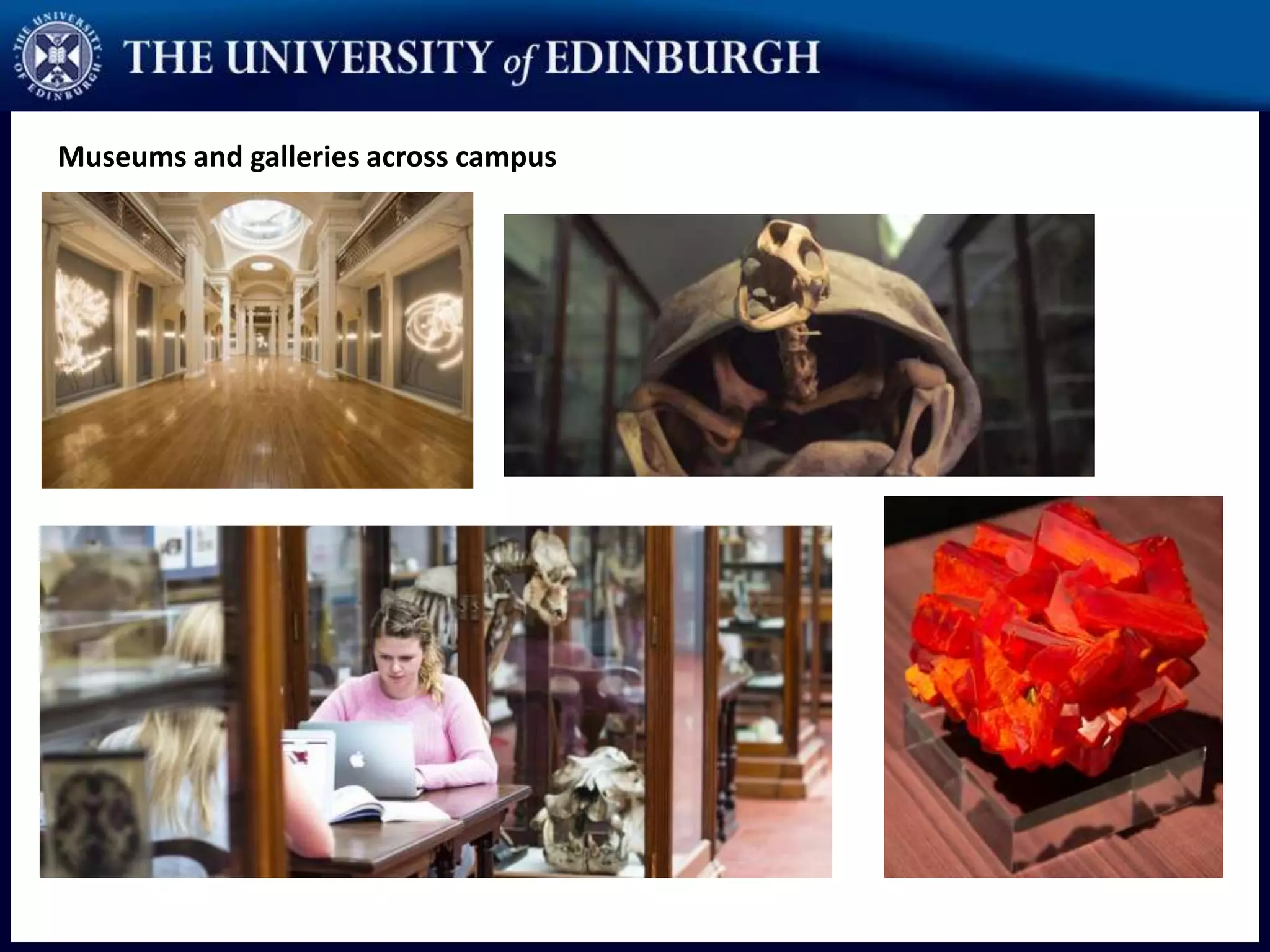 Museums and galleries across campus
 