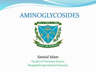 AMINOGLYCOSIDES
Samiul Islam
Faculty of Veterinary Science
Bangladesh Agricultural University
 