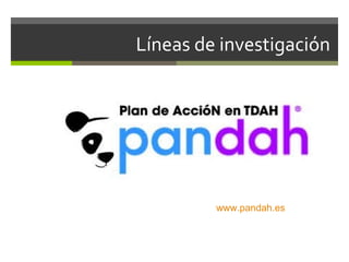 Líneas de investigación

www.pandah.es

 